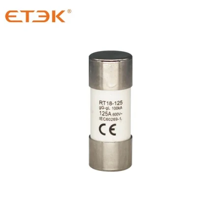 Cilindrični osigurač 22x58 mm gG 125 A 100 kA